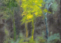 Alberi nella notte,  Olio a spatola su tela,  40x30 cm, 2007