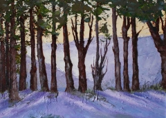 Luci fra gli alberi, Olio su tela, 50 x 40 cm