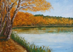 Autunno in Polonia, Olio su tela, 50 x 70 cm