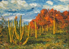 Cactus d'Arizona, Olio su tela, 40 x 50 cm