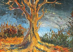 Pino antico, Olio su tela, 50 x 40 cm