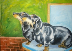 Bassotte, Olio su tela, 40 x 50 cm