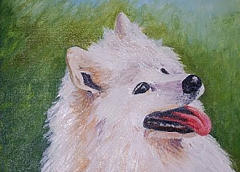 Zaira, Olio su tela, 50 x 70 cm